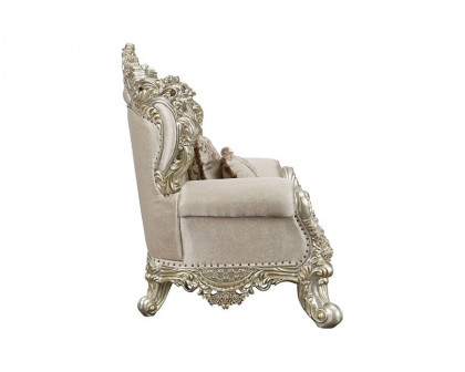 ACME™ Danae Chair with 2 Pillows - Champagne/Gold