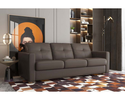 ACME - Noci Sofa with Sleeper