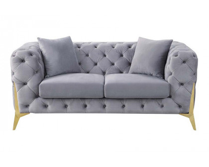 ACME - Jelanea Loveseat with 2 Pillows in Gray/Gold