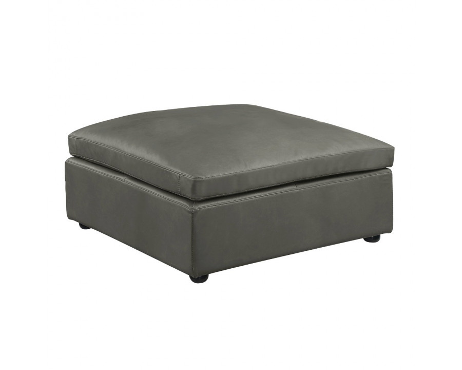 ACME - Margot Ottoman in Gray Match