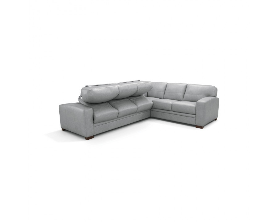 ACME - Goma Sectional Sofa with Sleeper in Light Gray