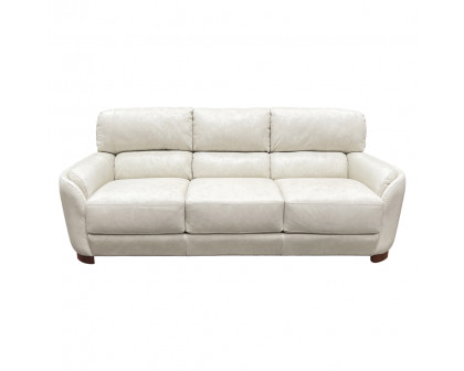 ACME - Edrice Sofa in Ice Gray