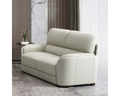 ACME - Edrice Loveseat in Ice Gray