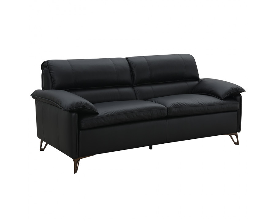 ACME - Eilene Loveseat in Black