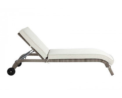 ACME - Salena Patio Sun Lounge in Beige/Gray (OT01094)