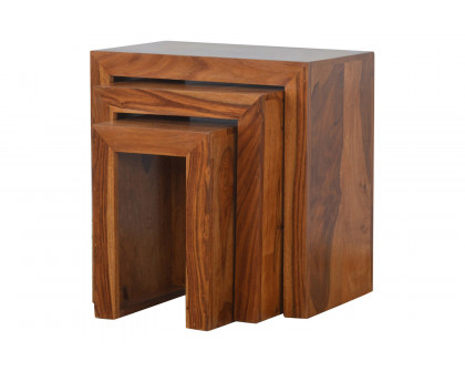 Artisan - Sheesham Wood Set of 3 Cubed Nesting Tables