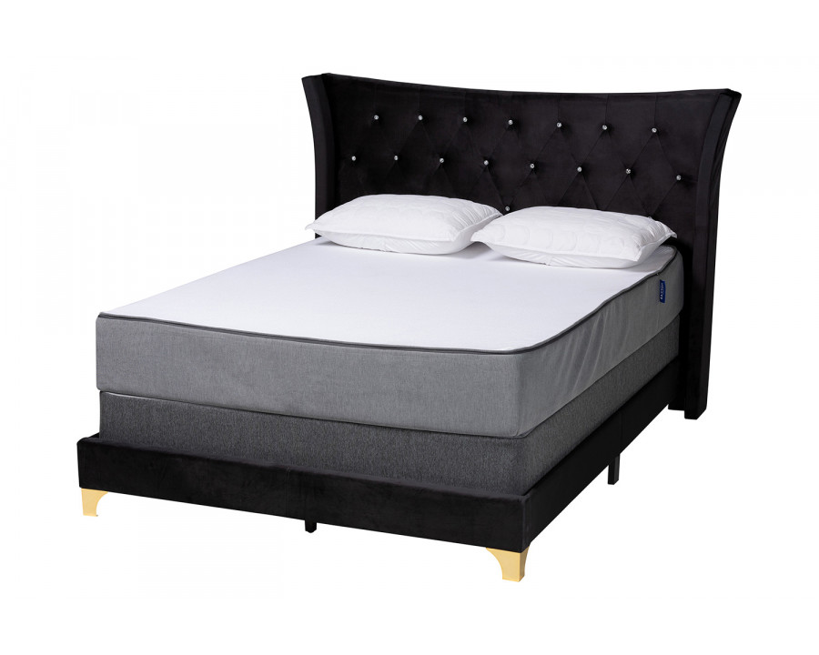 Baxton Easton Contemporary Glam Queen Size Panel Bed - Black Velvet