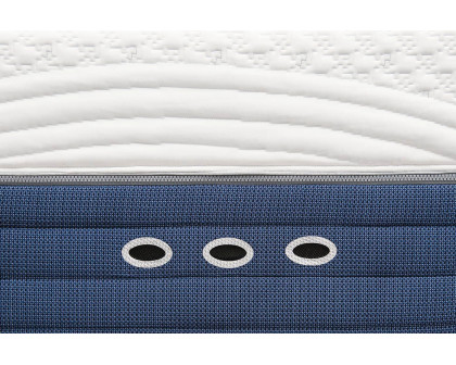 Bedgear M3 Performance Mattress - Queen Size, 0.0 Firm - 0.0 Firm