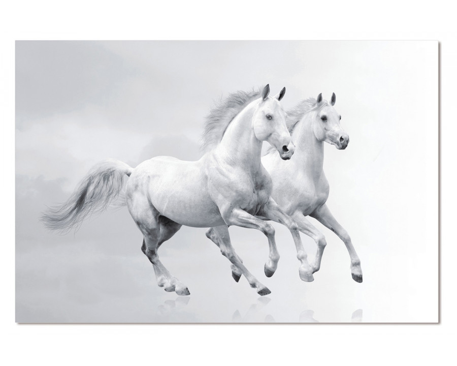 Bellini - Acrylic Picture of 2 White Horses Running in Multi-Color