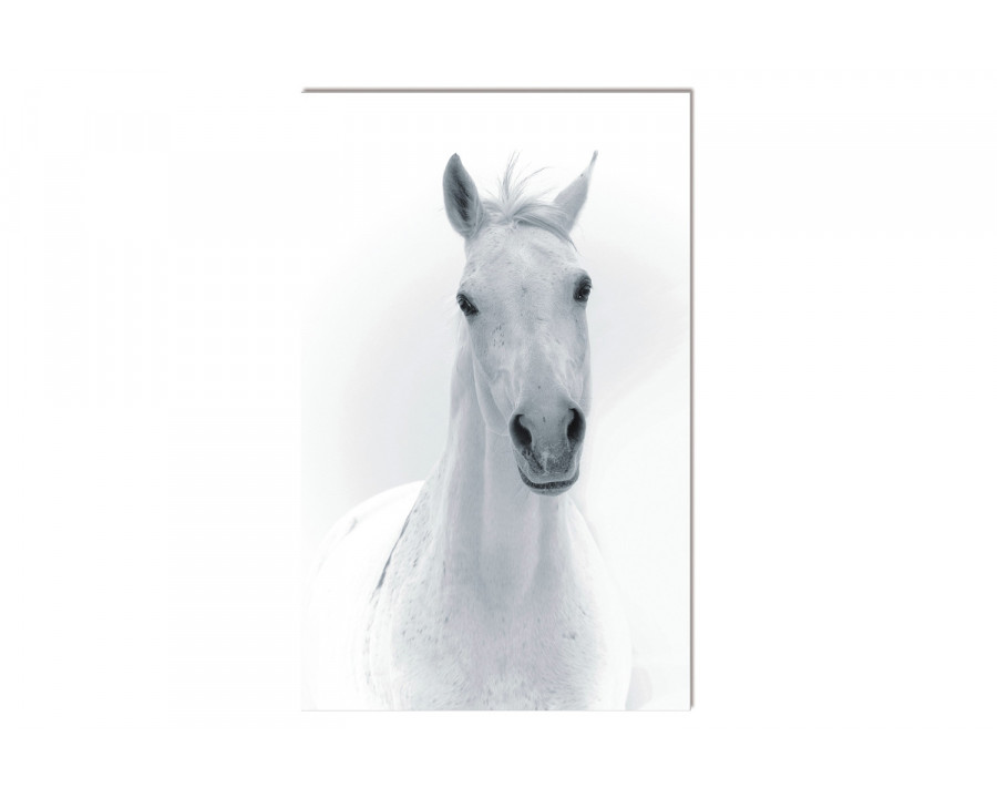 Bellini Acrylic Portrait of A White Horse - Multi-Color, 48x30