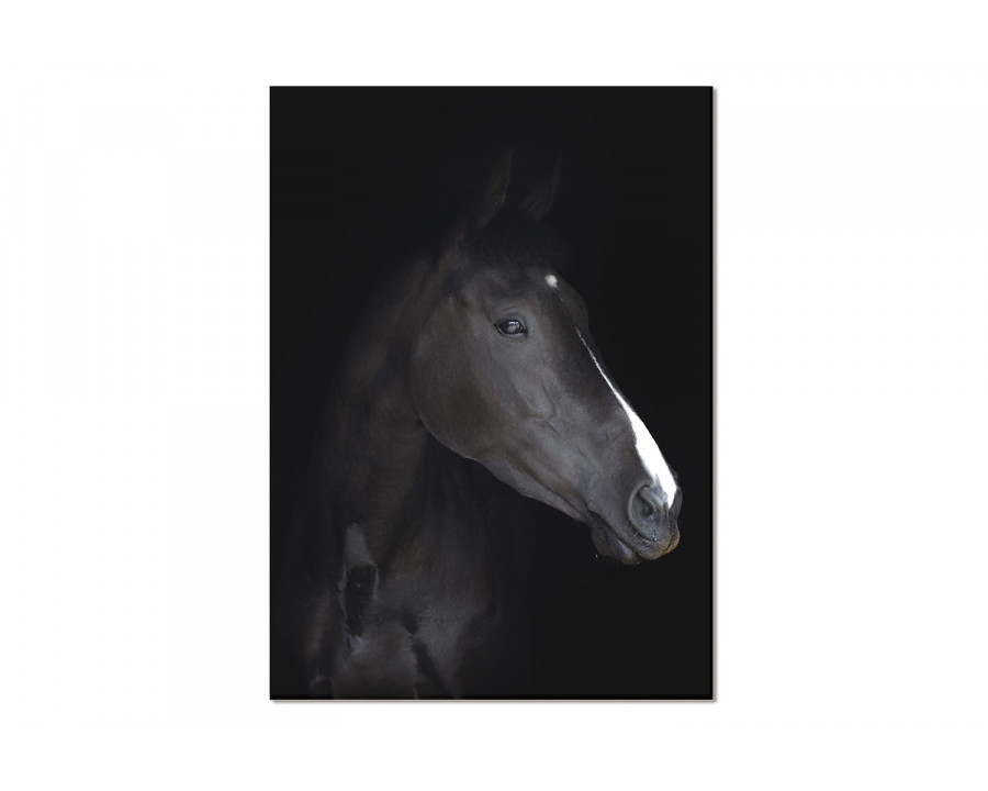 Bellini Acrylic Headshot Portrait of A Black Horse - Multi-Color, 48x30