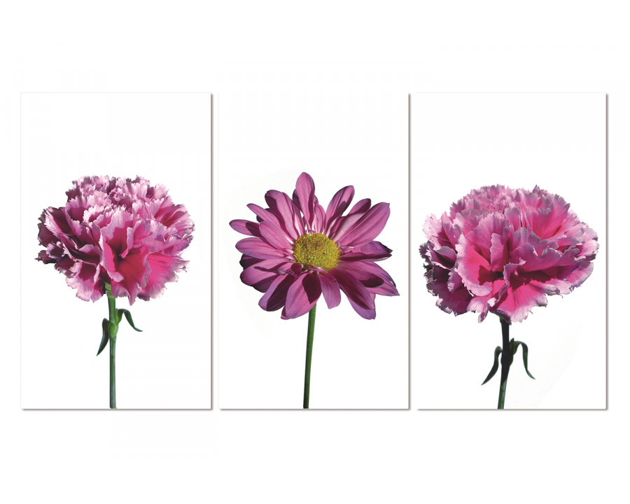 Bellini - 3 Piece Acrylic Picture of Pink Flowers Consisting of 2 Carnations and 1 Daisy with Stems in Multi-Color