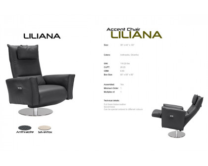 Bellini™ Liliana Accent Chair - Silverfox