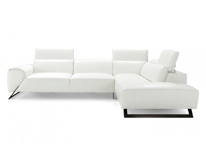 Bellini - Ricci Sectional