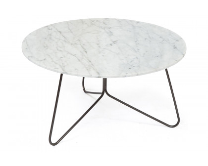 Bellini - Tracy Coffee Table