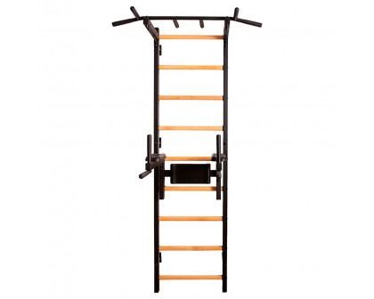 BenchK - 722 Wood Wall Bar with Pull-Up Bar and Dip Bar