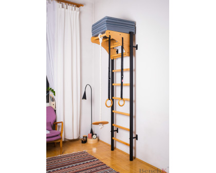 BenchK 212B+A076 Wall Bar with Pull-Up Bar, Benchtop and Gymnastic Accessories - Black/Wood