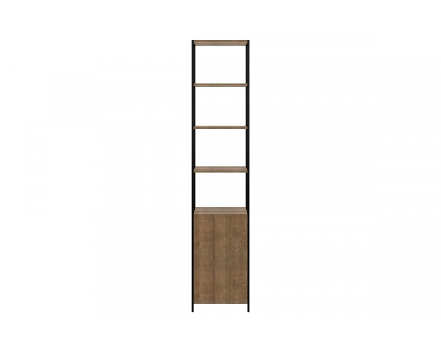 Casabianca - Clark Bookcase in Walnut, MDF