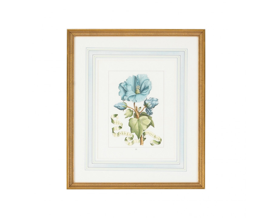 Chelsea House - Bl Floral W/Ribbon-A With French Mat in Gold Frame