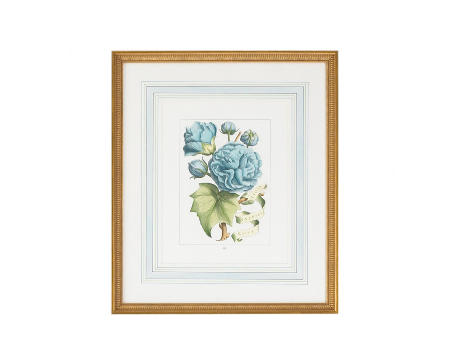 Chelsea House - Bl Floral W/Ribbon-B With French Mat in Gold Frame