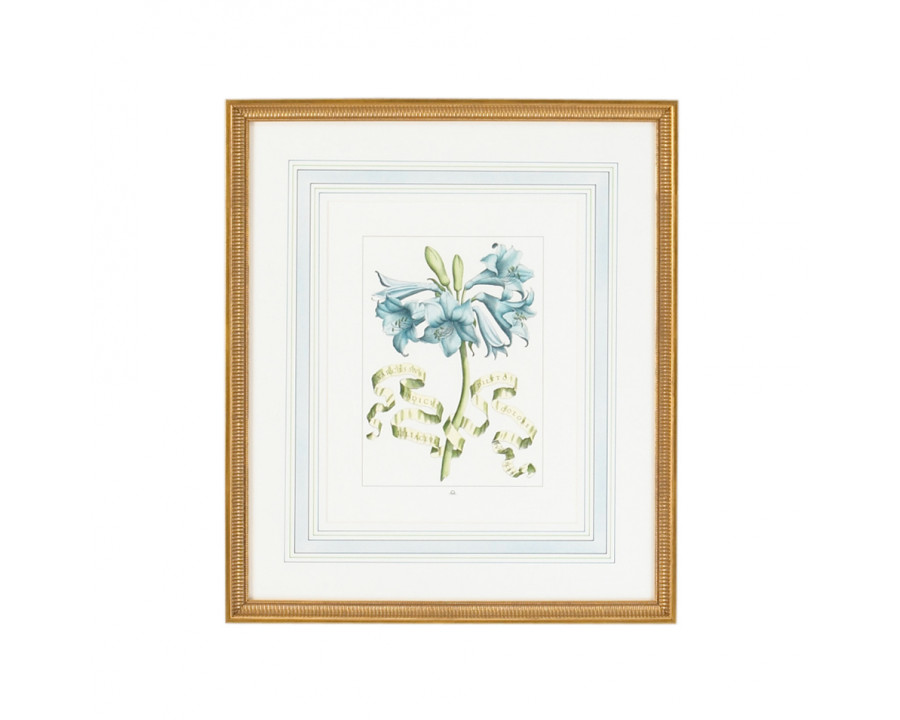 Chelsea House - Bl Floral W/Ribbon-C With French Mat in Gold Frame