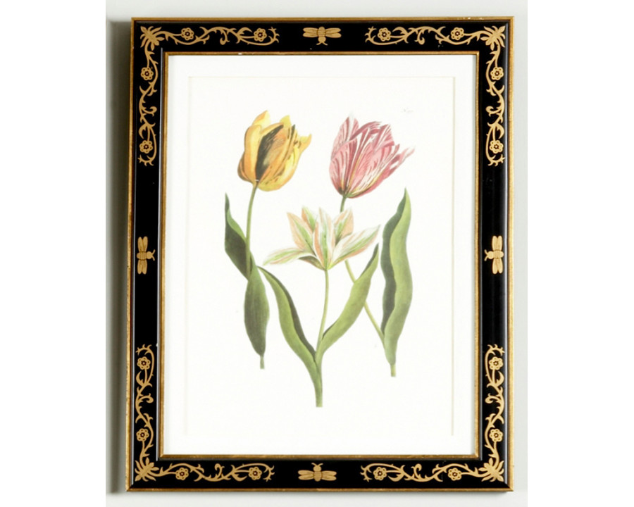 Chelsea House - Tulip/Dec.frame(991) With Gold Decoration in Black Frame