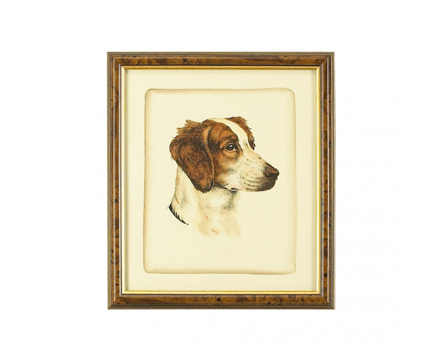 Chelsea House - Danchin Brittany Spaniel in Brown/Gold Frame