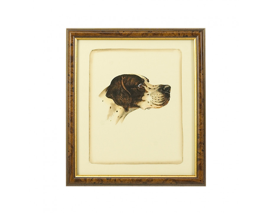 Chelsea House - Danchin Pointer in Brown/Gold Frame