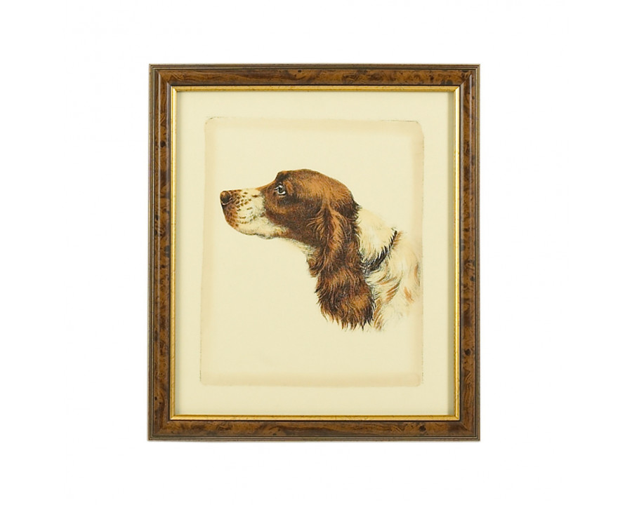 Chelsea House - Danchin Cocker Spaniel in Brown/Gold Frame