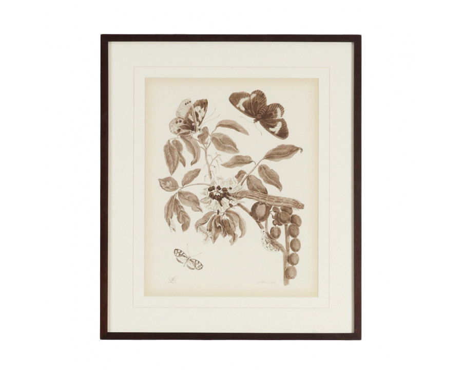 Chelsea House - Nature Study/Sepia II With V-Groove Mat in Bronze Frame