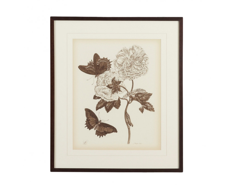 Chelsea House - Nature Study/Sepia IV With V-Groove Mat in Bronze Frame