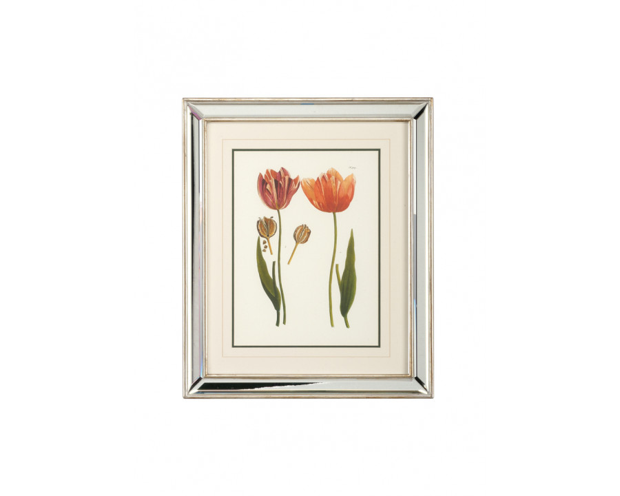 Chelsea House - Tulips D in Silver Leaf Frame