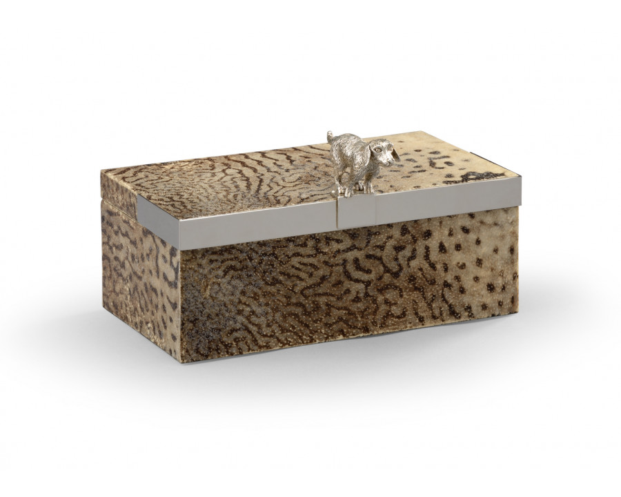 Chelsea House - Duke Box in Natural/Silver Plated