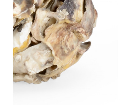 Chelsea House - Oyster Shell Candleholder (Pr) in Natural