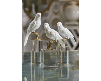 Chelsea House Parrot On Crystal - Square, Small