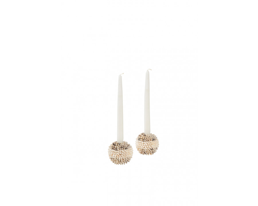 Chelsea House - Nassa Shell Candleholder (Pr) in Natural