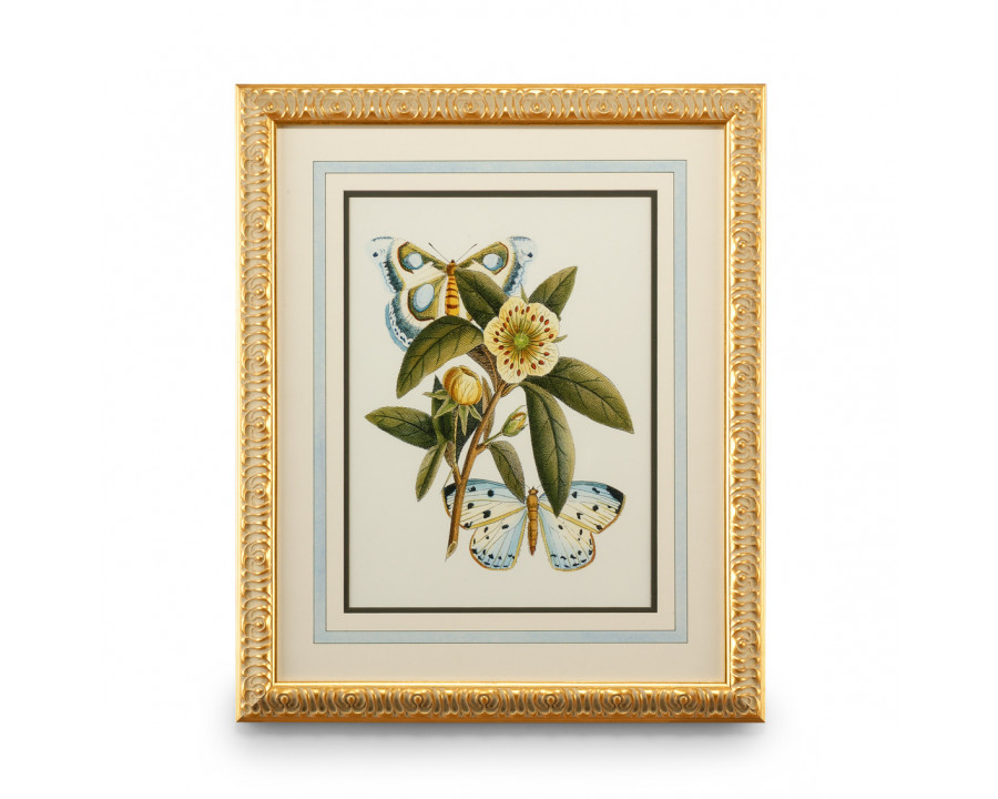 Chelsea House - Butterfly Oasis I in Gold Leafed Frame