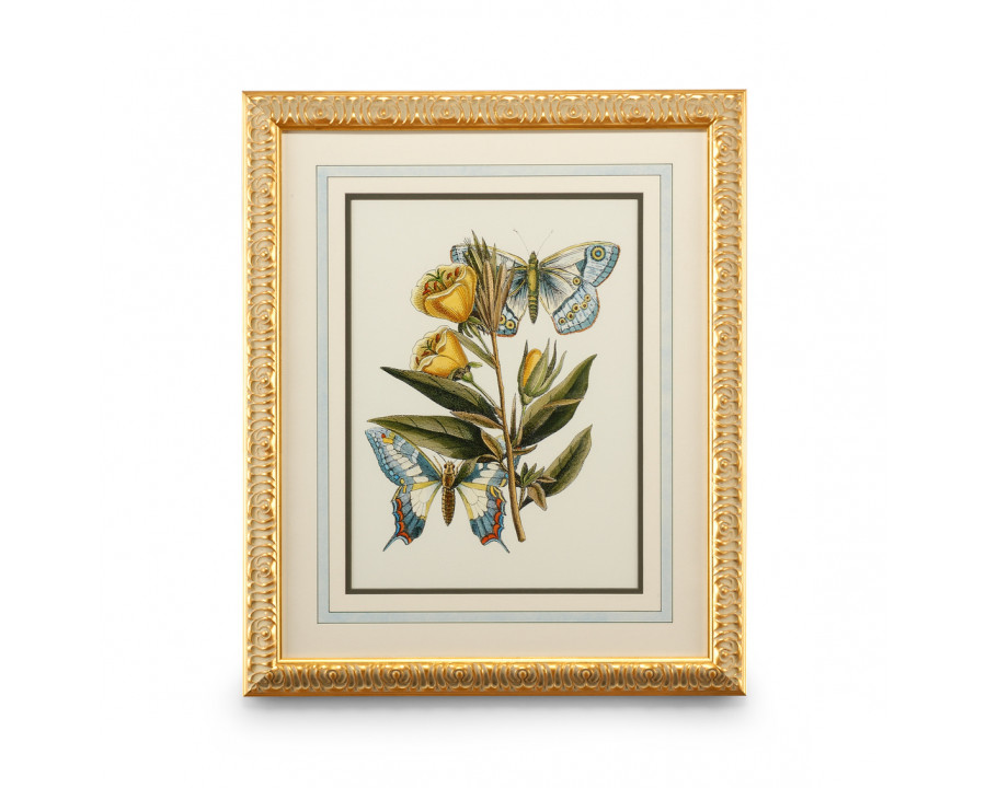 Chelsea House - Butterfly Oasis II in Gold Leafed Frame