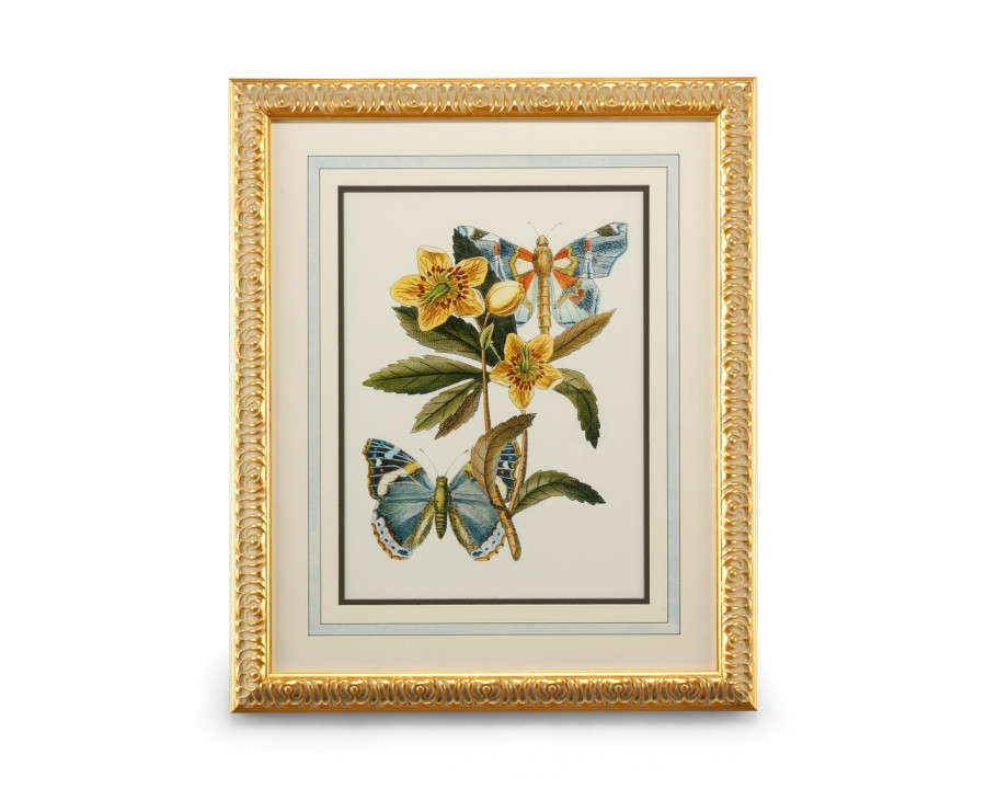 Chelsea House - Butterfly Oasis III in Gold Leafed Frame