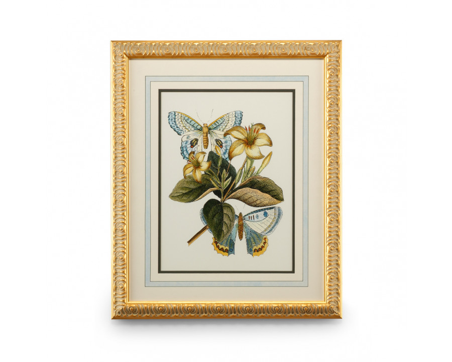 Chelsea House - Butterfly Oasis IV in Gold Leafed Frame