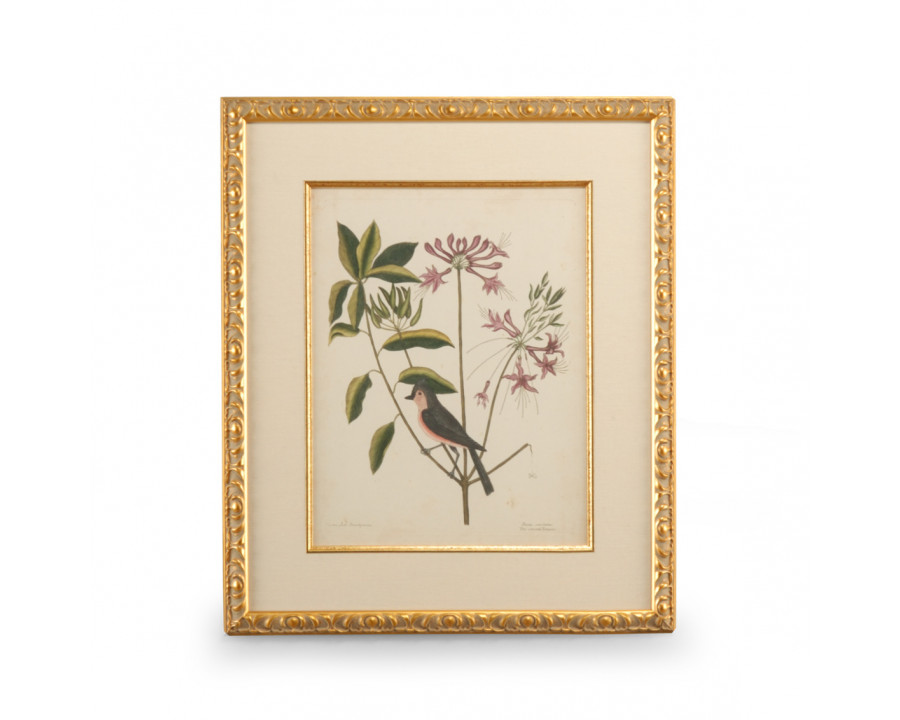 Chelsea House - Catesby Bird/Botanical I with Linen Mat in Gold Leaf Frame