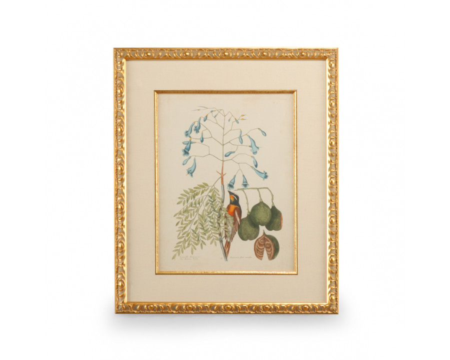 Chelsea House - Catesby Bird/Botanical II with Linen Mat in Gold Leaf Frame