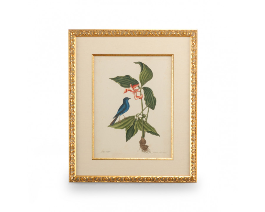 Chelsea House - Catesby Bird/Botanical IV with Linen Mat in Gold Leaf Frame