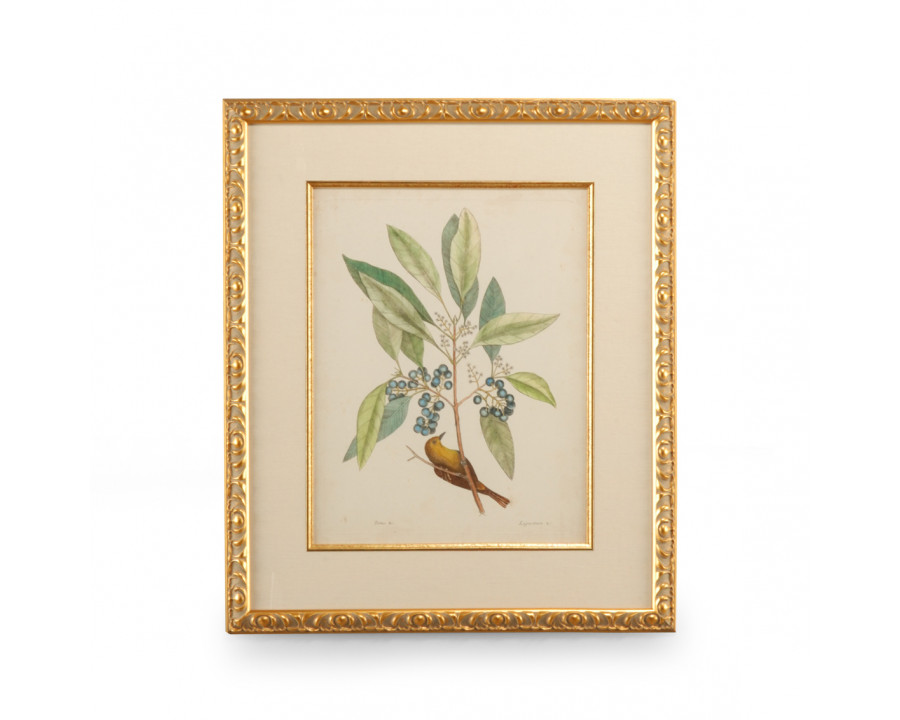 Chelsea House - Catesby Bird/Botanical V with Linen Mat in Gold Leaf Frame