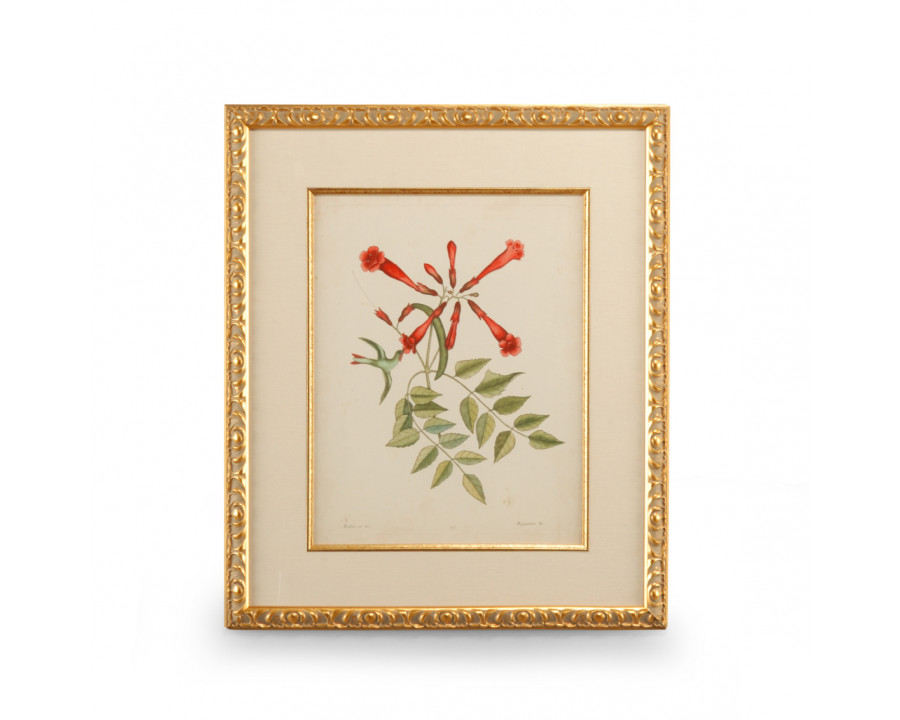 Chelsea House - Catesby Bird/Botanical VI with Linen Mat in Gold Leaf Frame