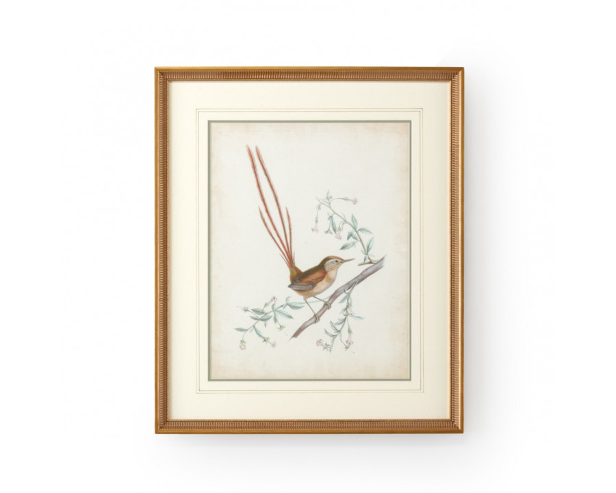 Chelsea House - Delicate Birds I with French Lines in Gold Frame