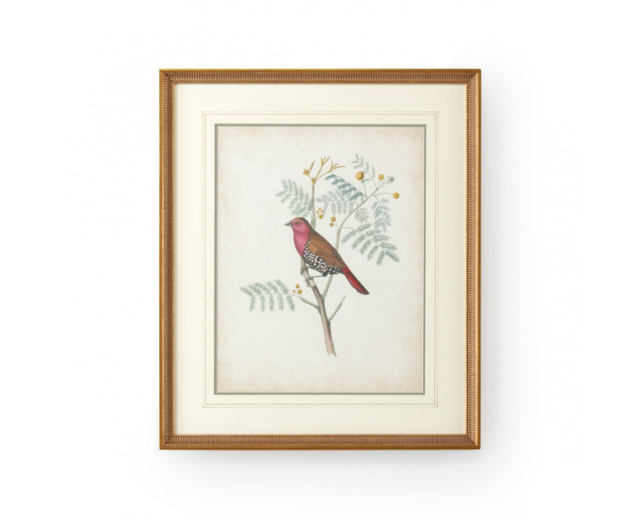 Chelsea House - Delicate Birds II with French Lines in Gold Frame