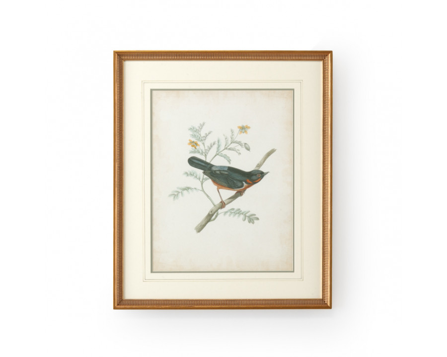 Chelsea House - Delicate Birds III with French Lines in Gold Frame