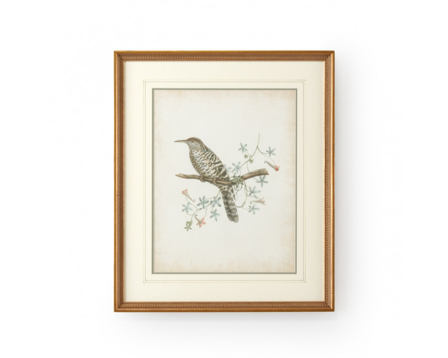 Chelsea House - Delicate Birds IV with French Lines in Gold Frame