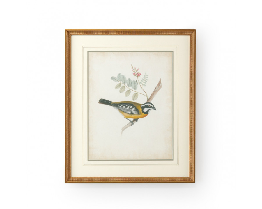 Chelsea House - Delicate Birds V with French Lines in Gold Frame